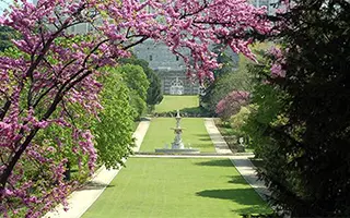 Мадрид в цвету: весна зовёт российских туристов